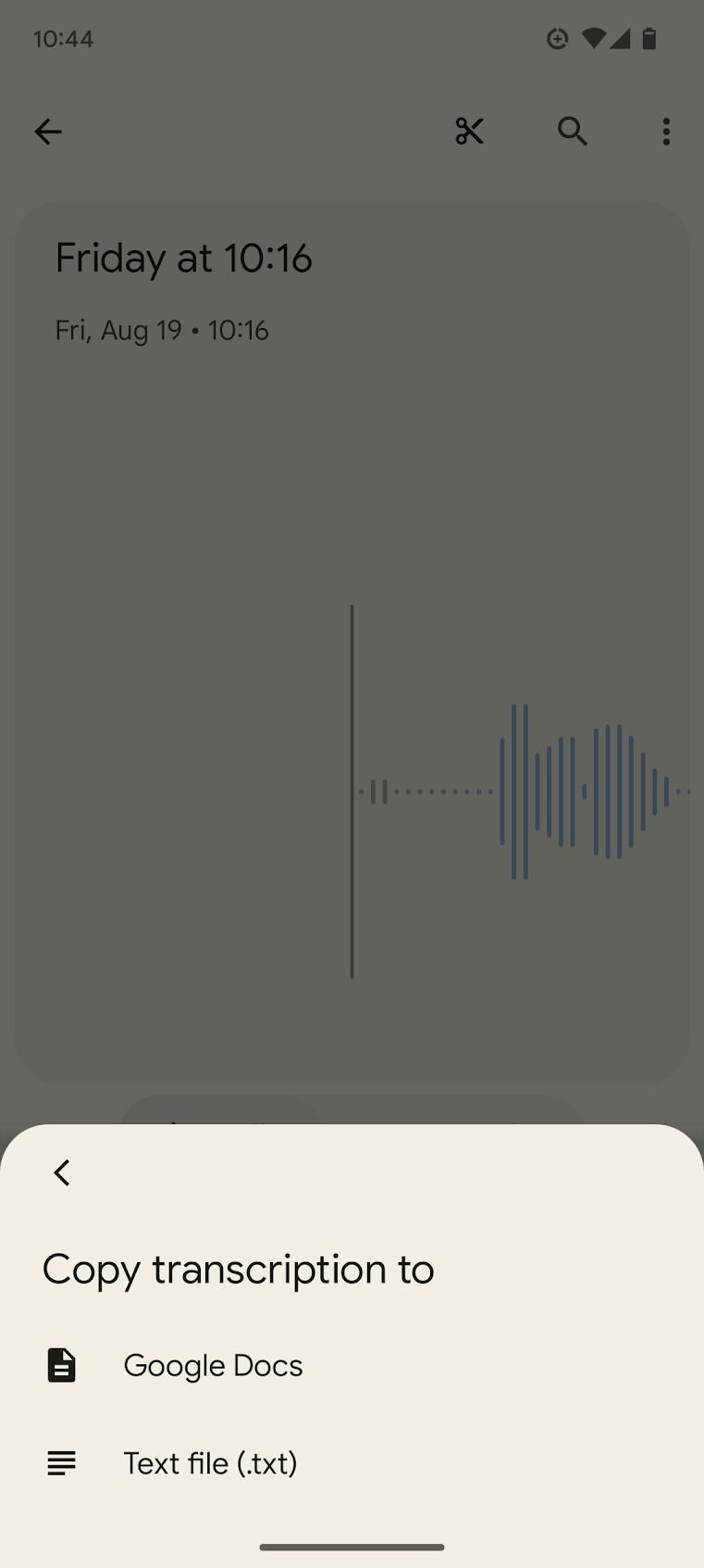 recorder app screenshot of transcription copy options