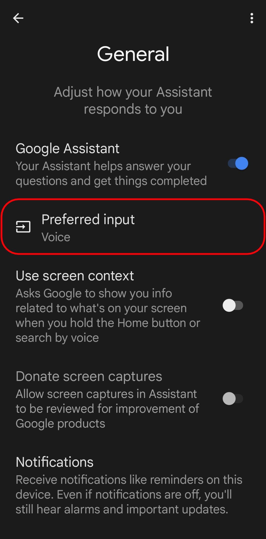 the google assistant general options page with the preferred input option highlighted
