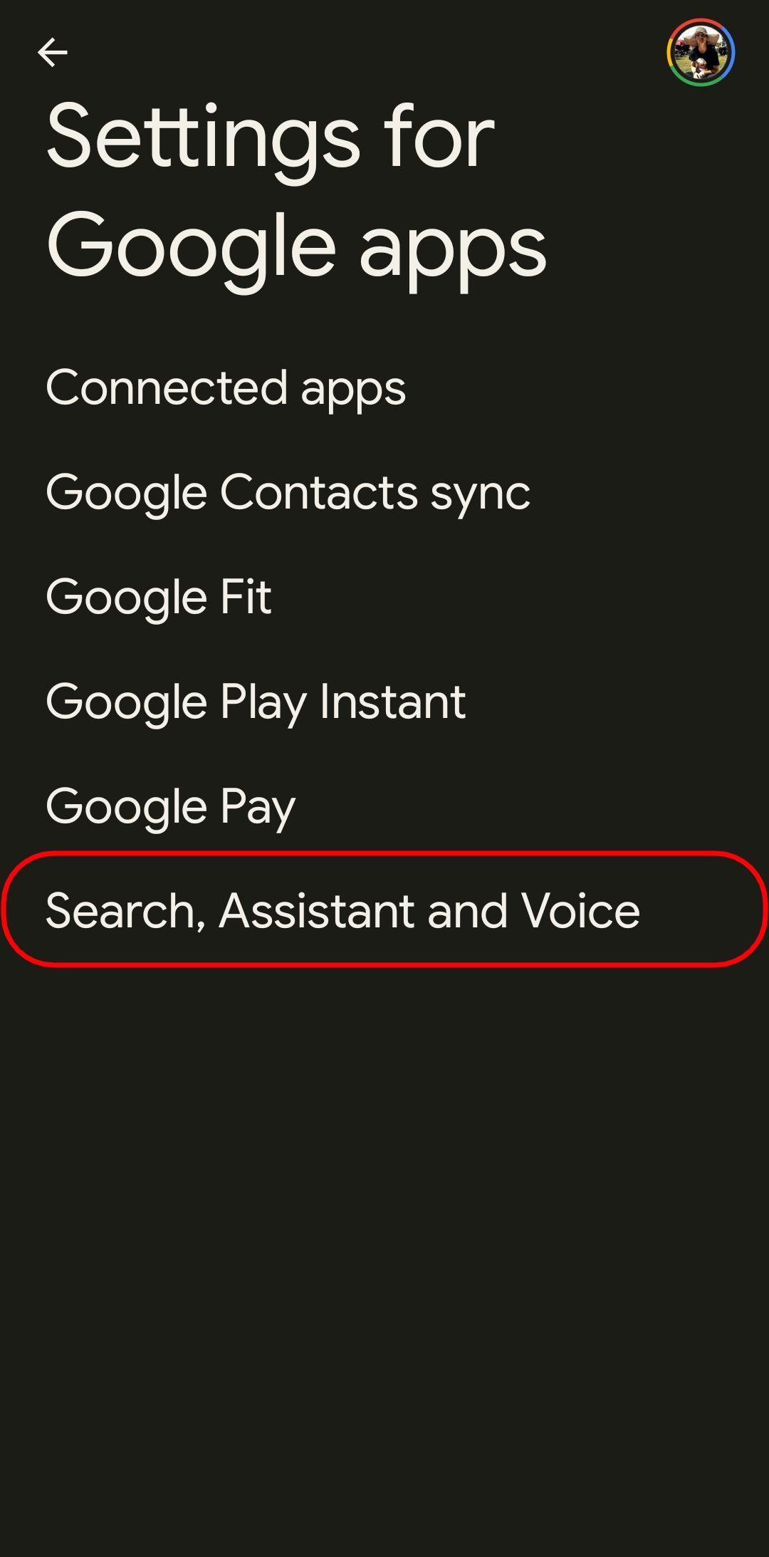 the settings for google apps page with the search, assistant, and voice option highlighted