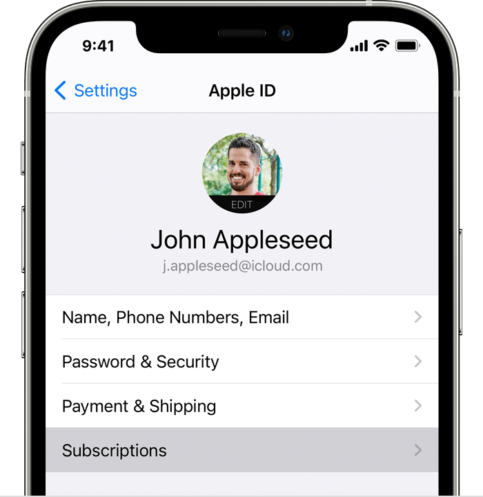 Screenshot of the user settings interface on an iPhone. The displayed information includes the account holder's name and email, with the 'Subscriptions' option being highlighted for emphasis.