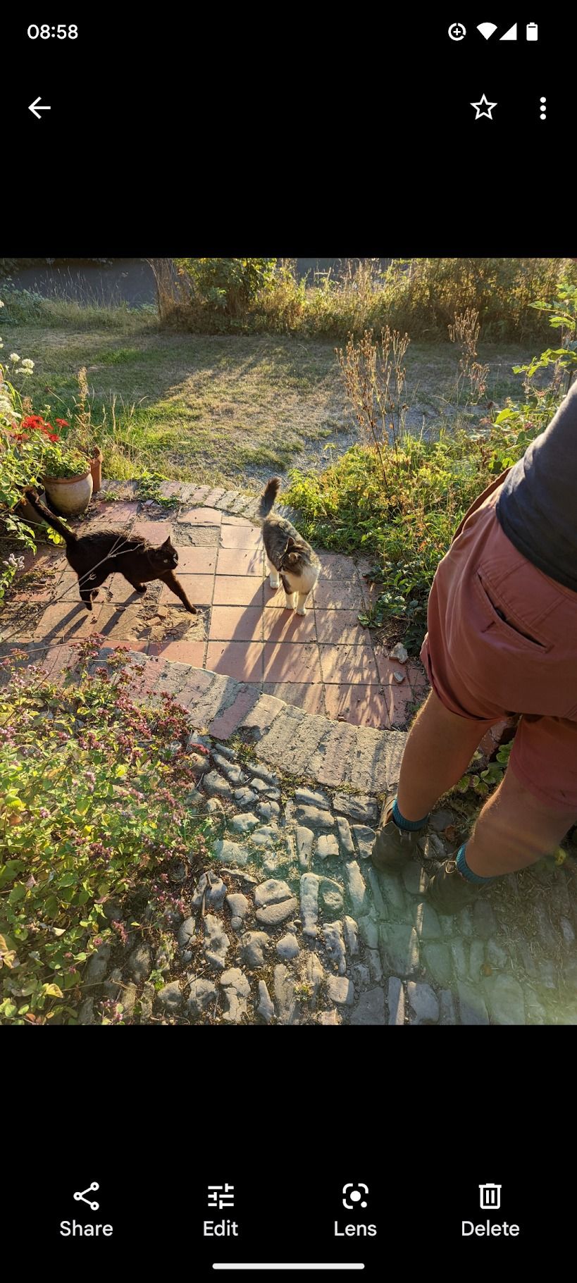 black cat and grey cat on stone flagstones with person in orange trousers