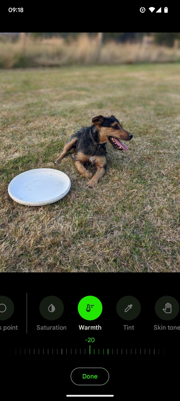 terrier sitting next to frisbee in a field