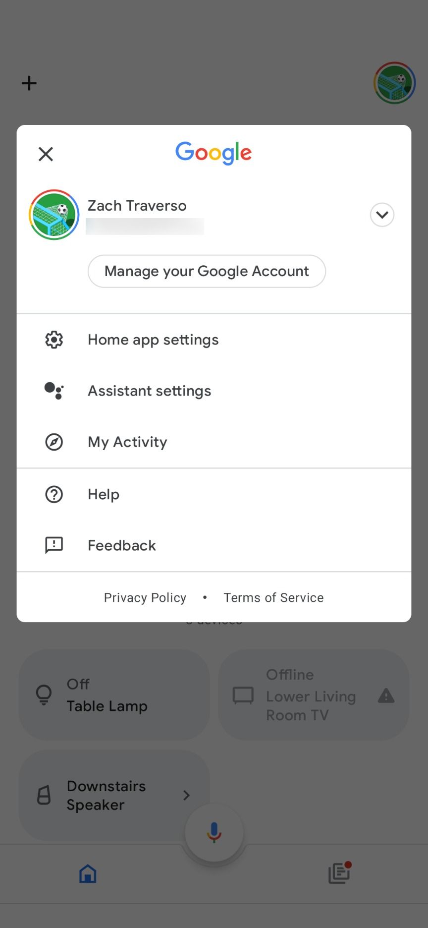 Google home voice store options