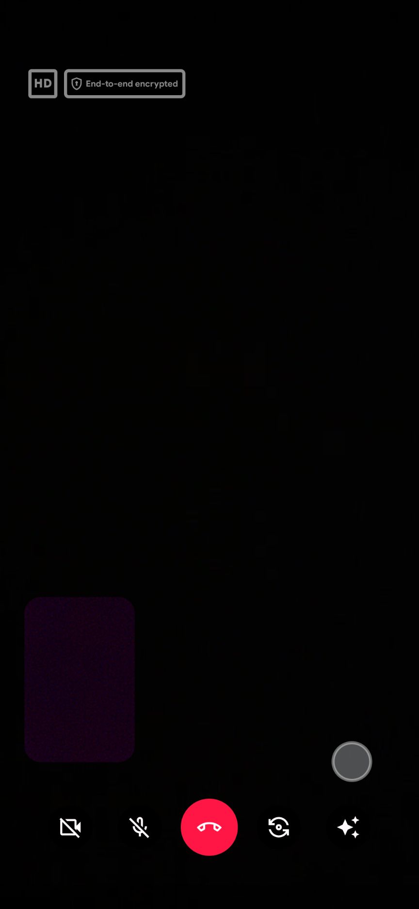 The Google Meet call screen.