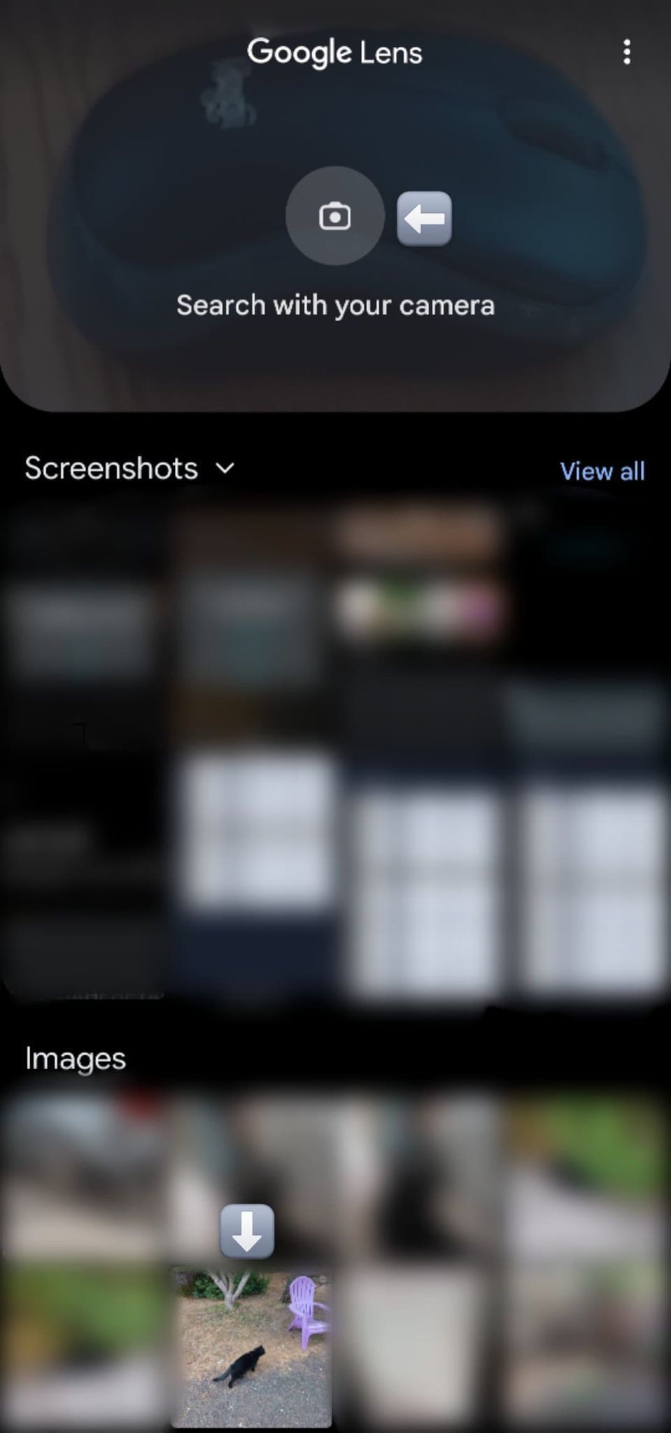 Image shows Google Lens front page after permissions are granted with arrows pointing to the camera icon and a saved photo.