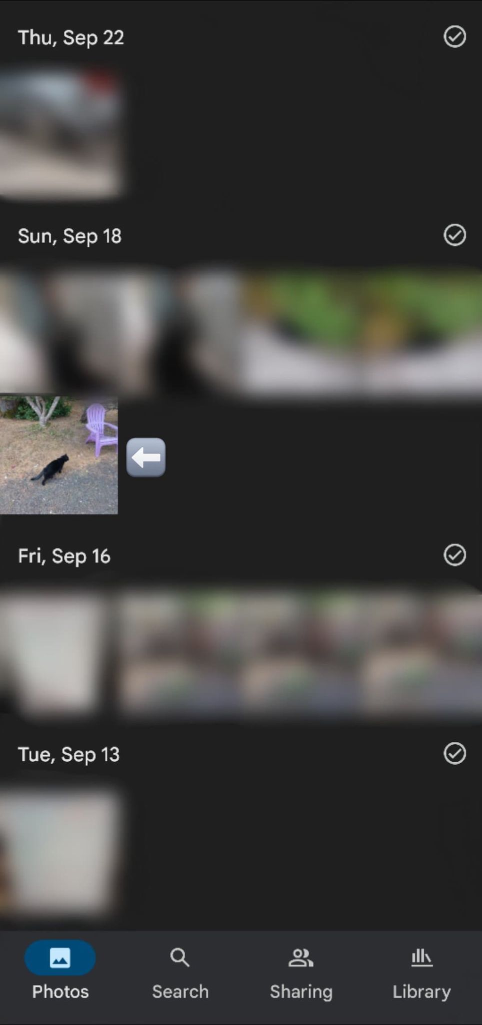 Image shows google photos screen with an arrow pointing to a photo of a black cat.