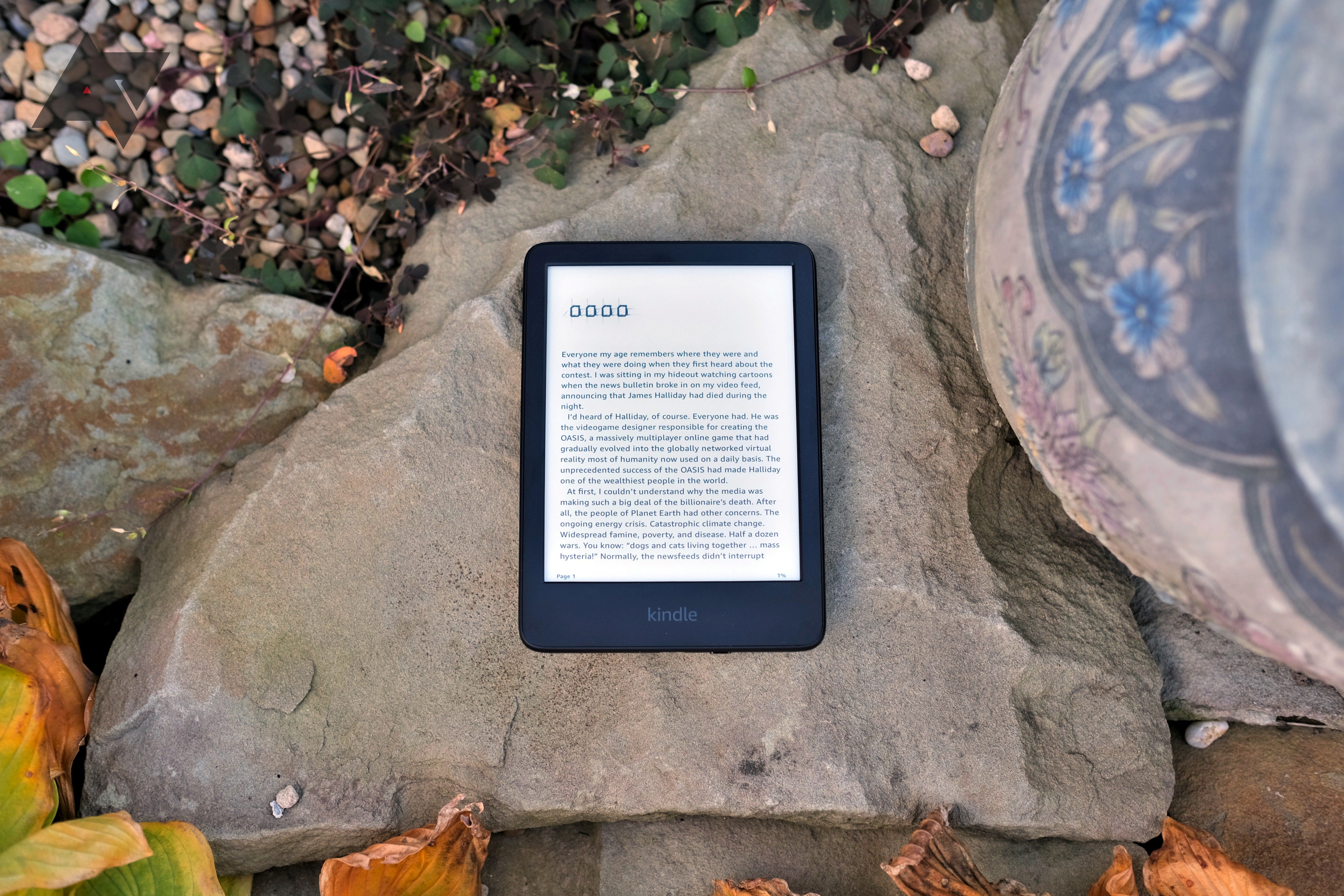 All-new Kindle review front stones
