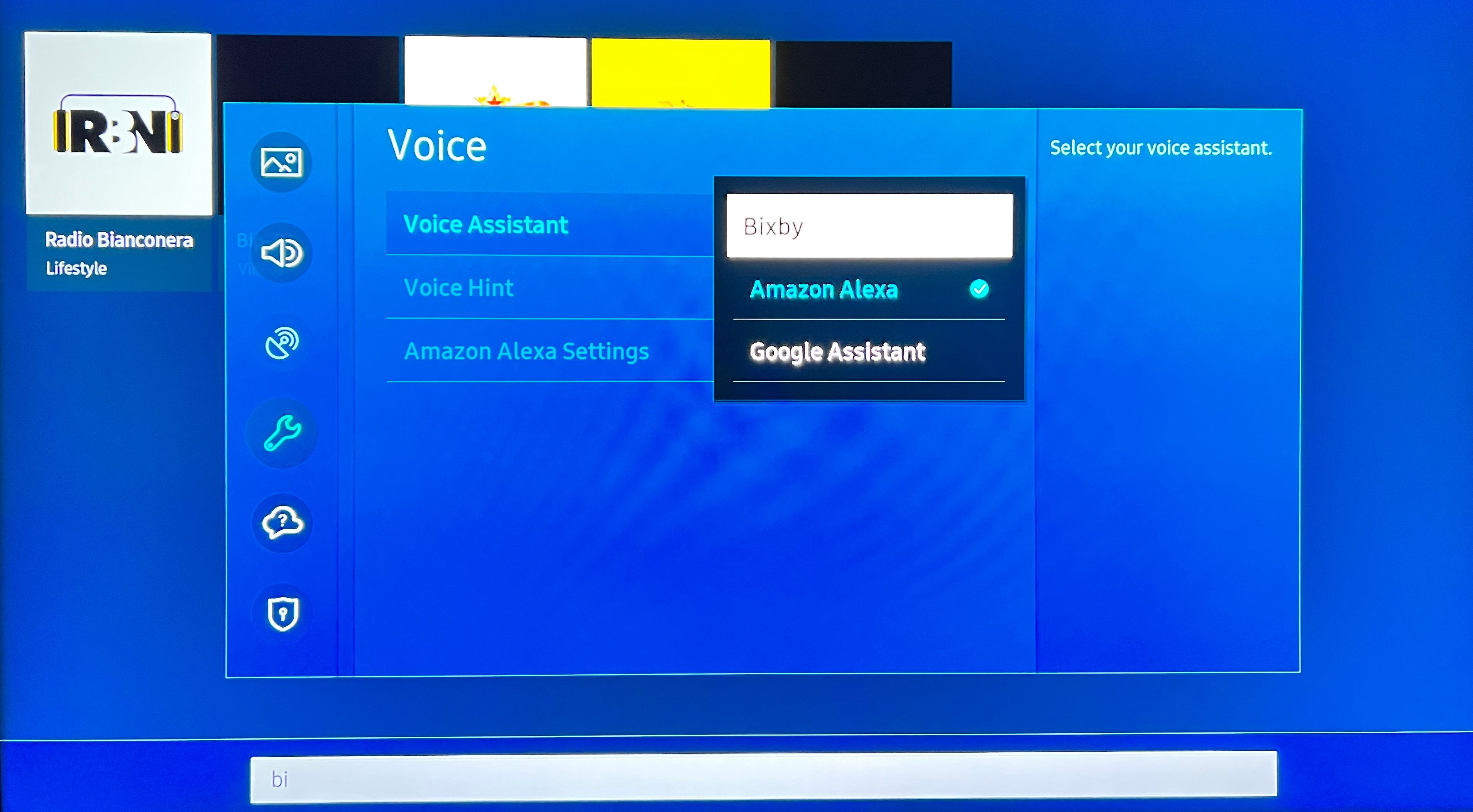 Screenshot showing how to choose your voice assistant