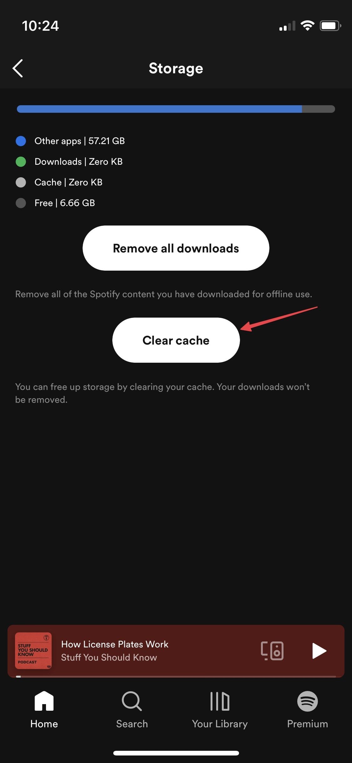 clear spotify cache and data on iPhone