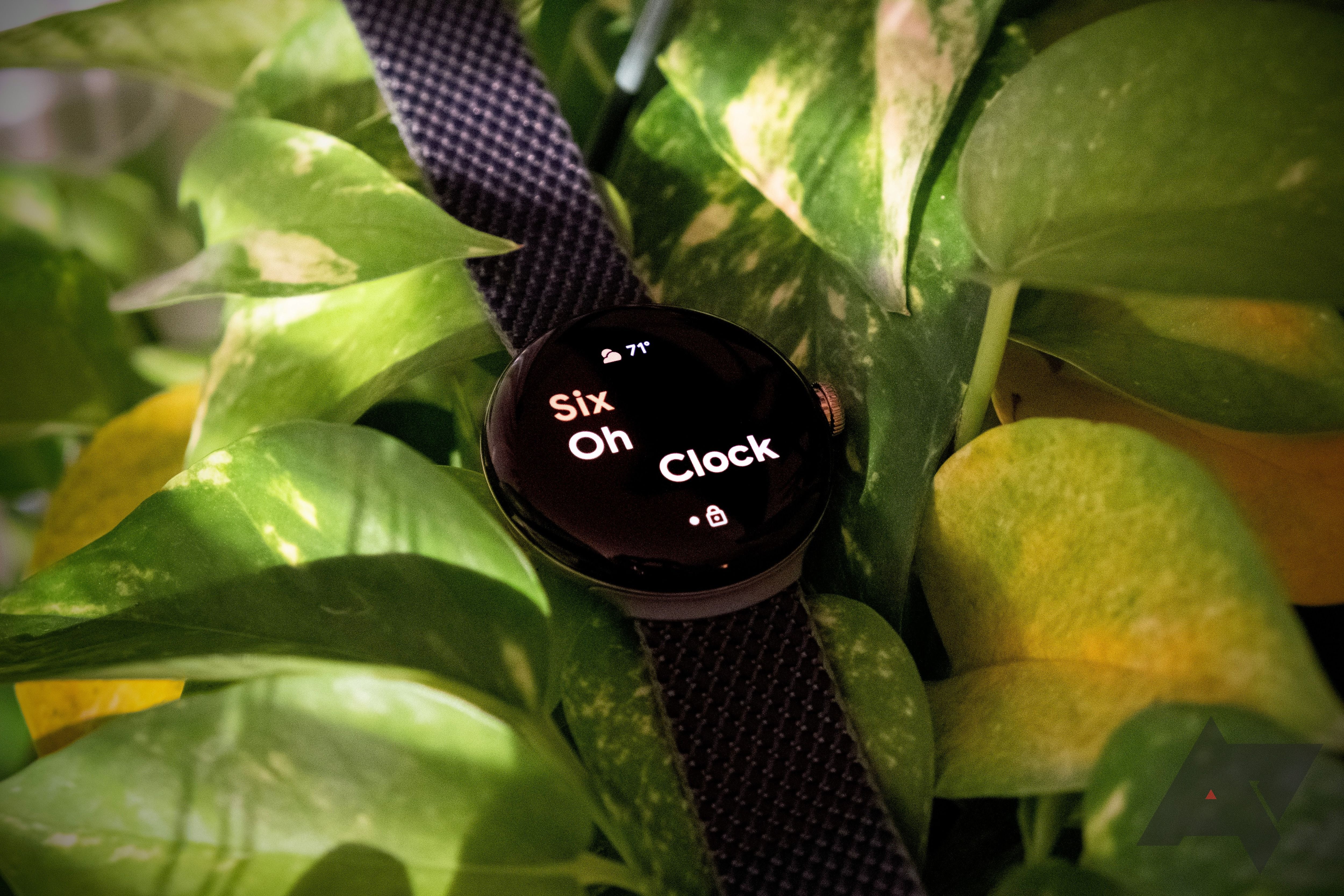 Android hot sale watch pixel