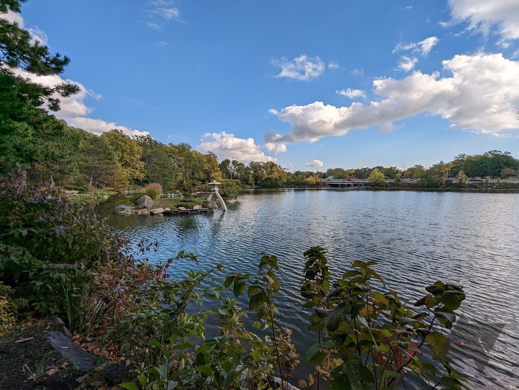 A slightly wider wide-angle photo of a lake surrounded by trees taken on a Pixel 7 Pro.