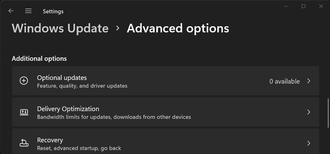 Screenshot of the 'Optional updates' option under Windows update