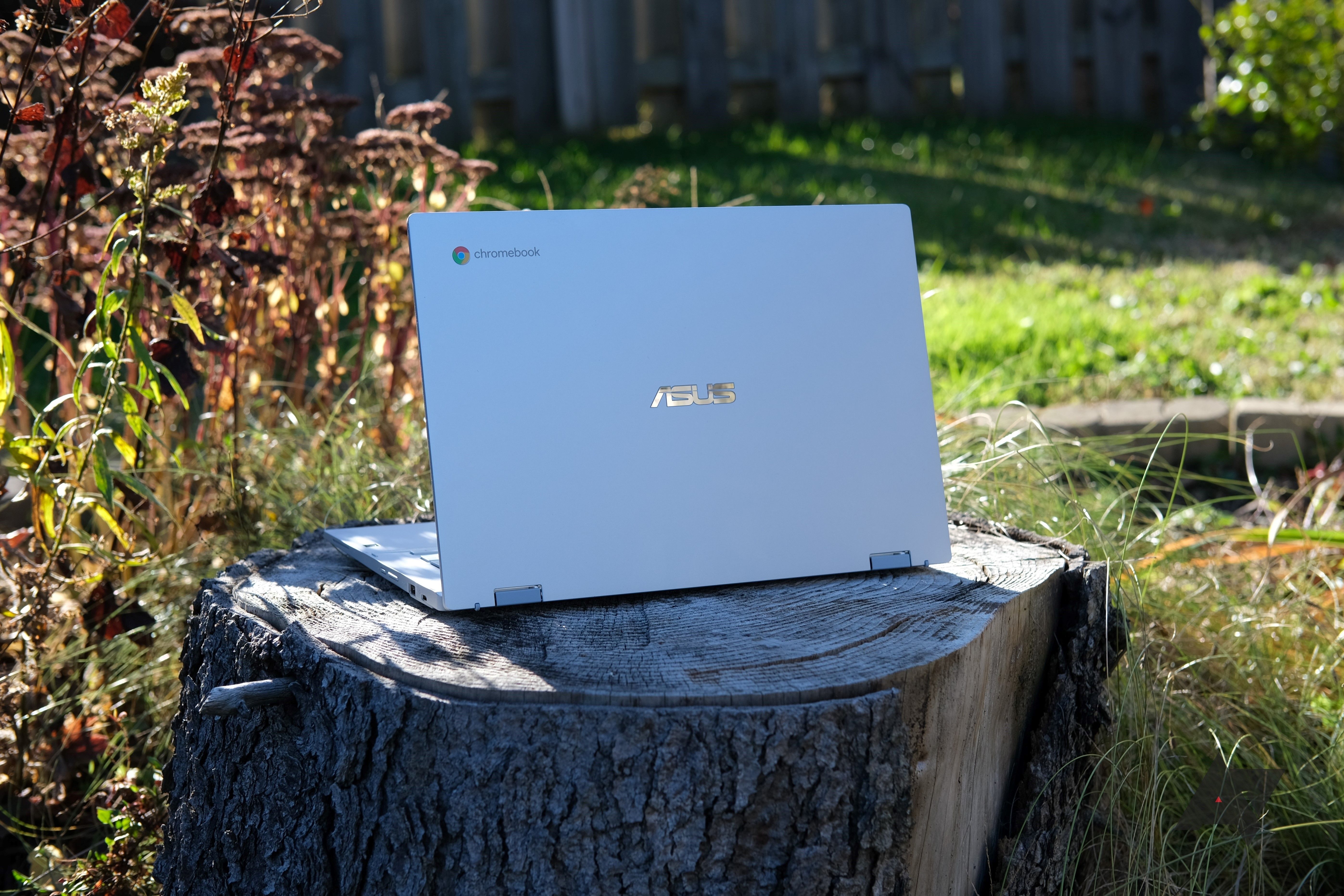 Chromebook Flip CX3400 review back sun hero2