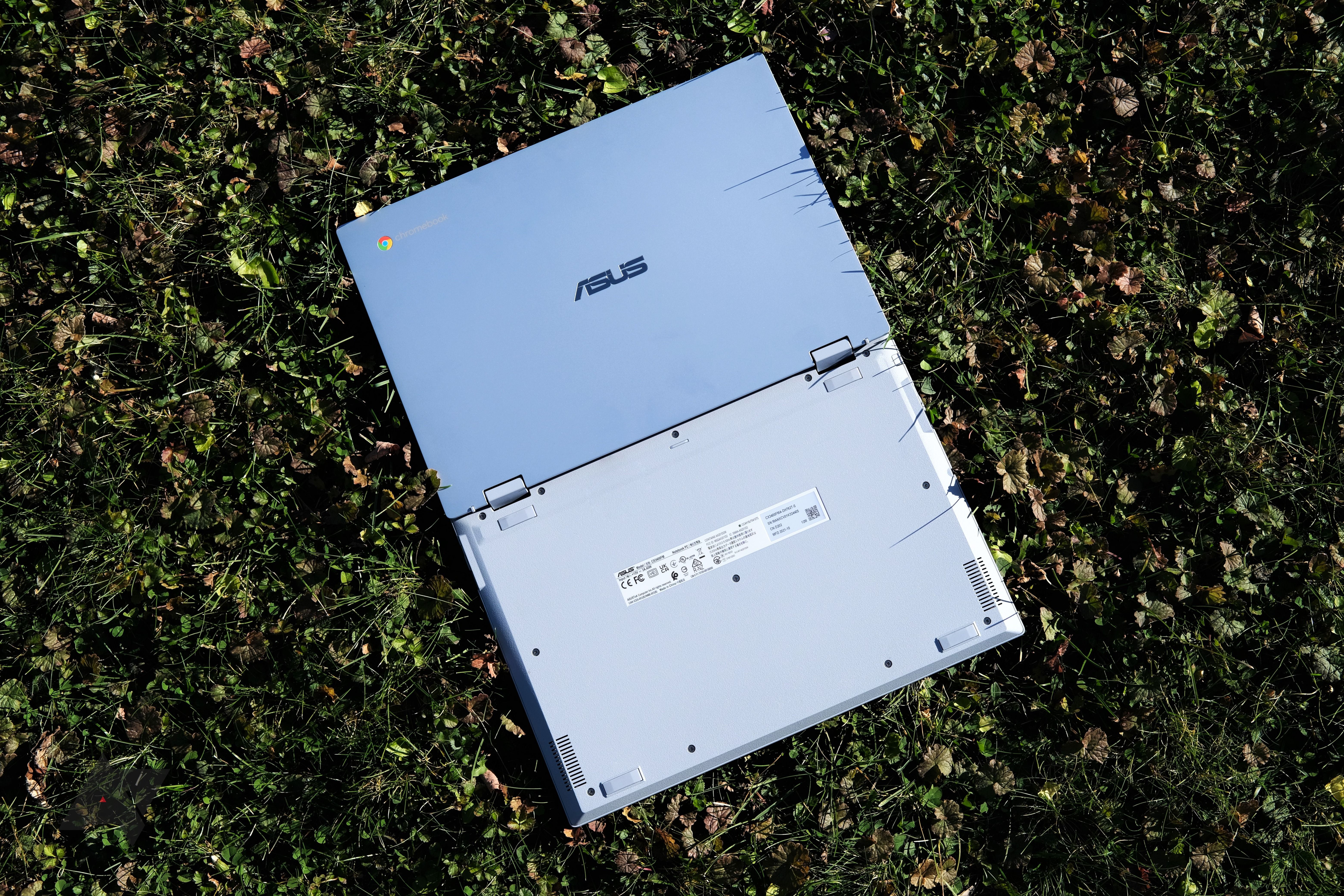 Chromebook Flip CX3400 review rear open grass