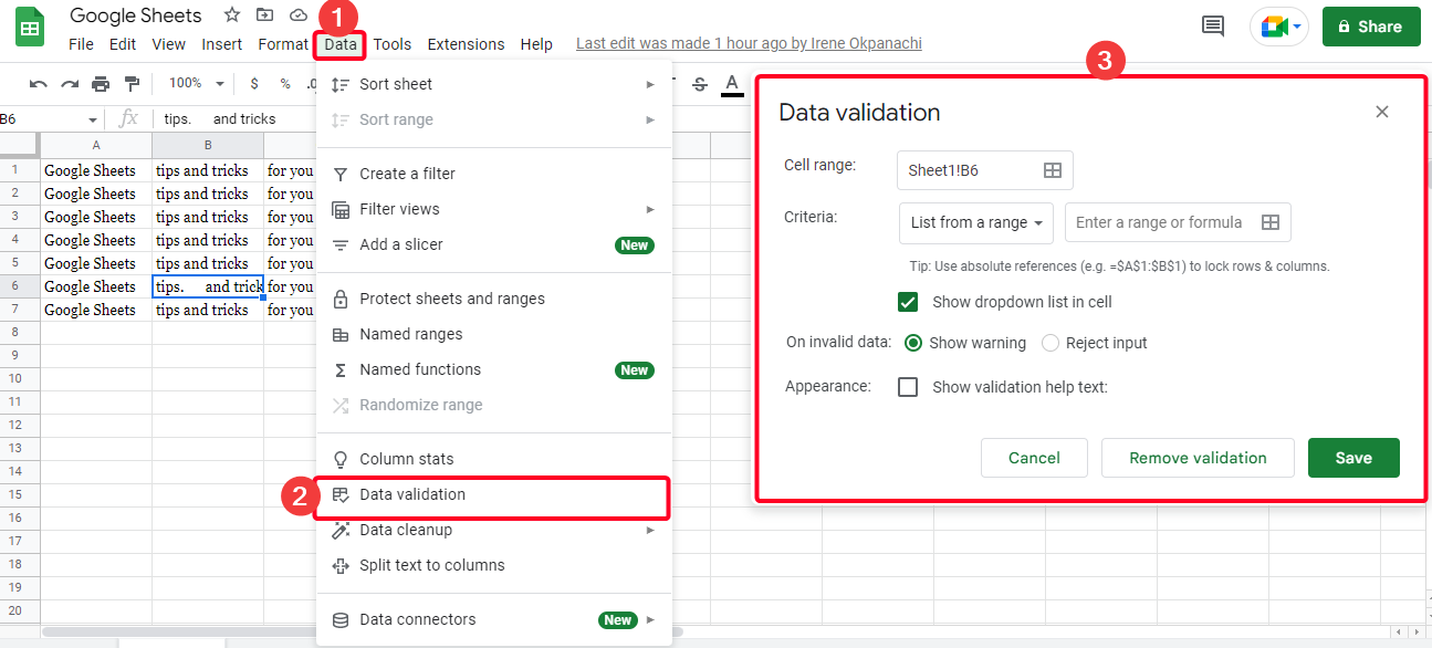 Data validation on Google Sheets web app