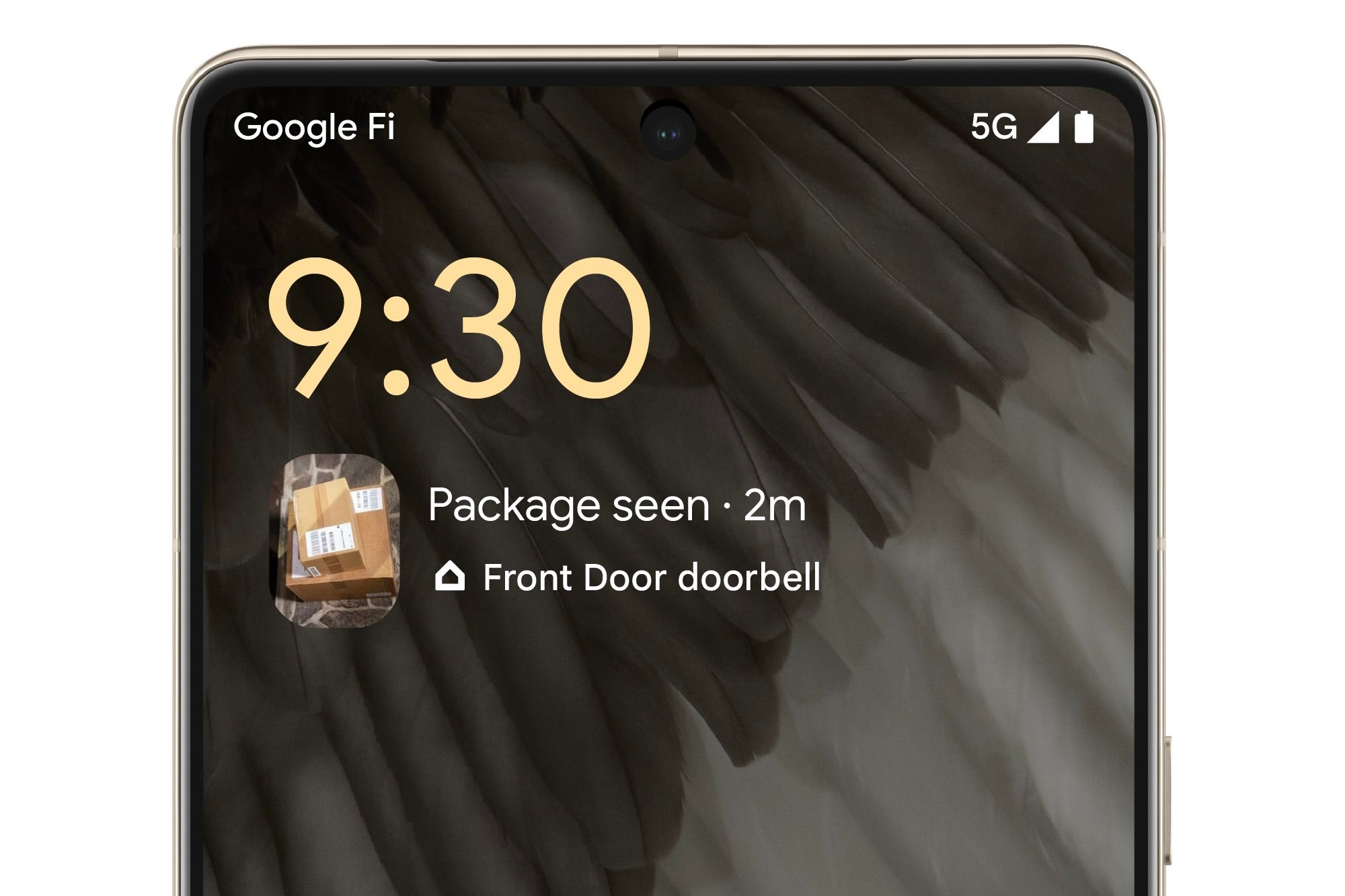 Google-Pixel-At-A-Glance-Nest-Package-Delivery