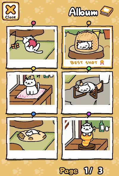 Neko Atsume Kitty Collector 2 