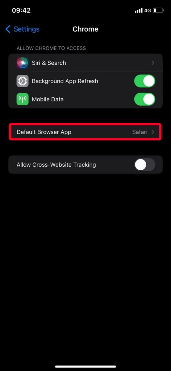 Chrome settings menu on iPhone