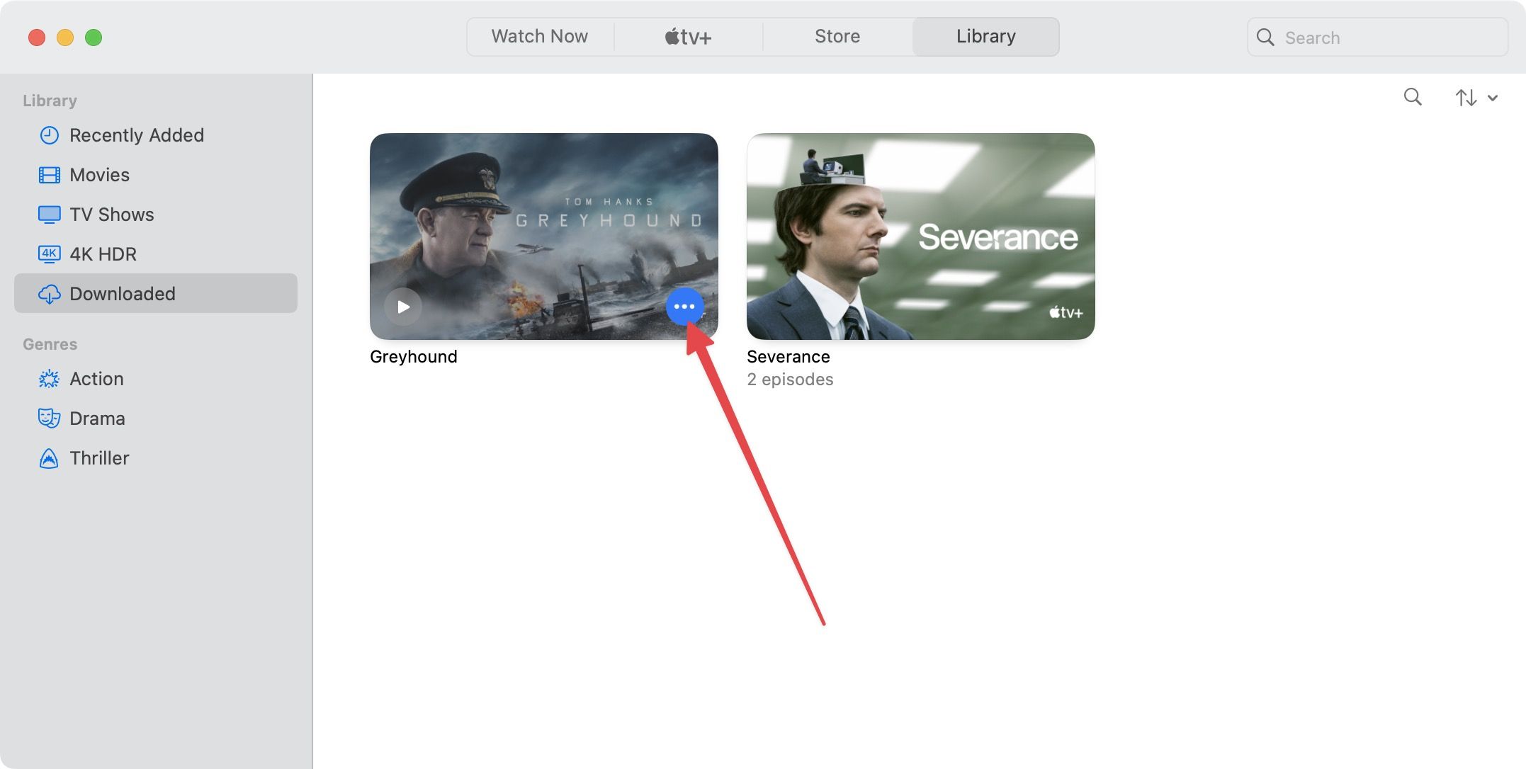 Downloaded folder screenshot Apple TV+ Mac app