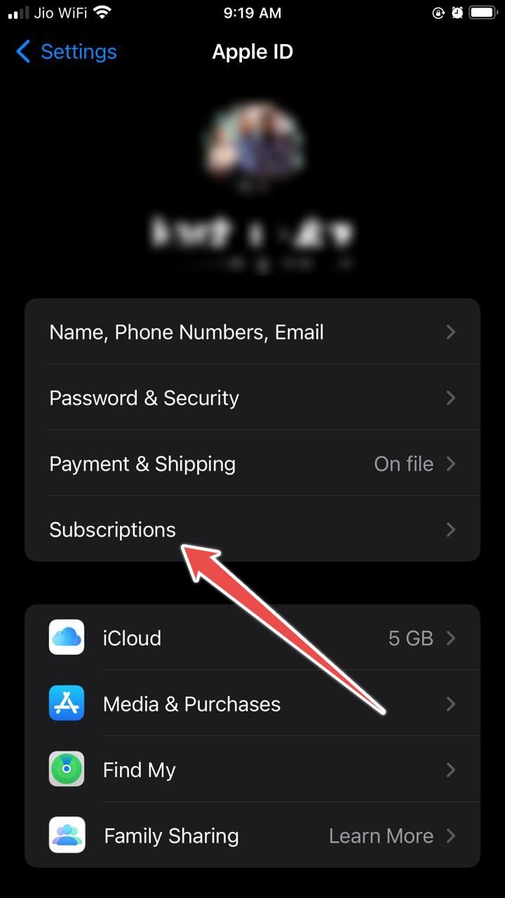 Screenshot showing the iOS subscriptions menu in settings