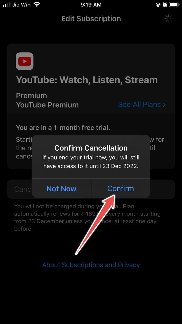 Screenshot showing the window to cancel YouTube Premium on iOS