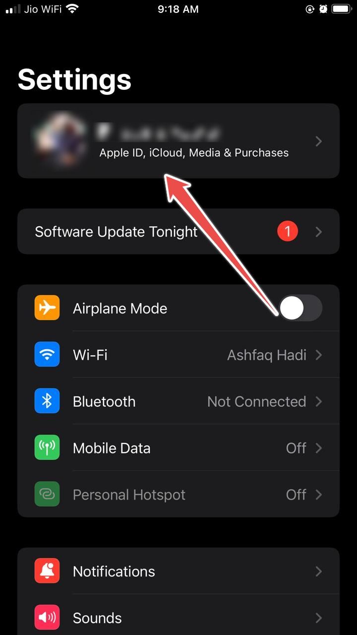 Screenshot showing the iOS settings screen