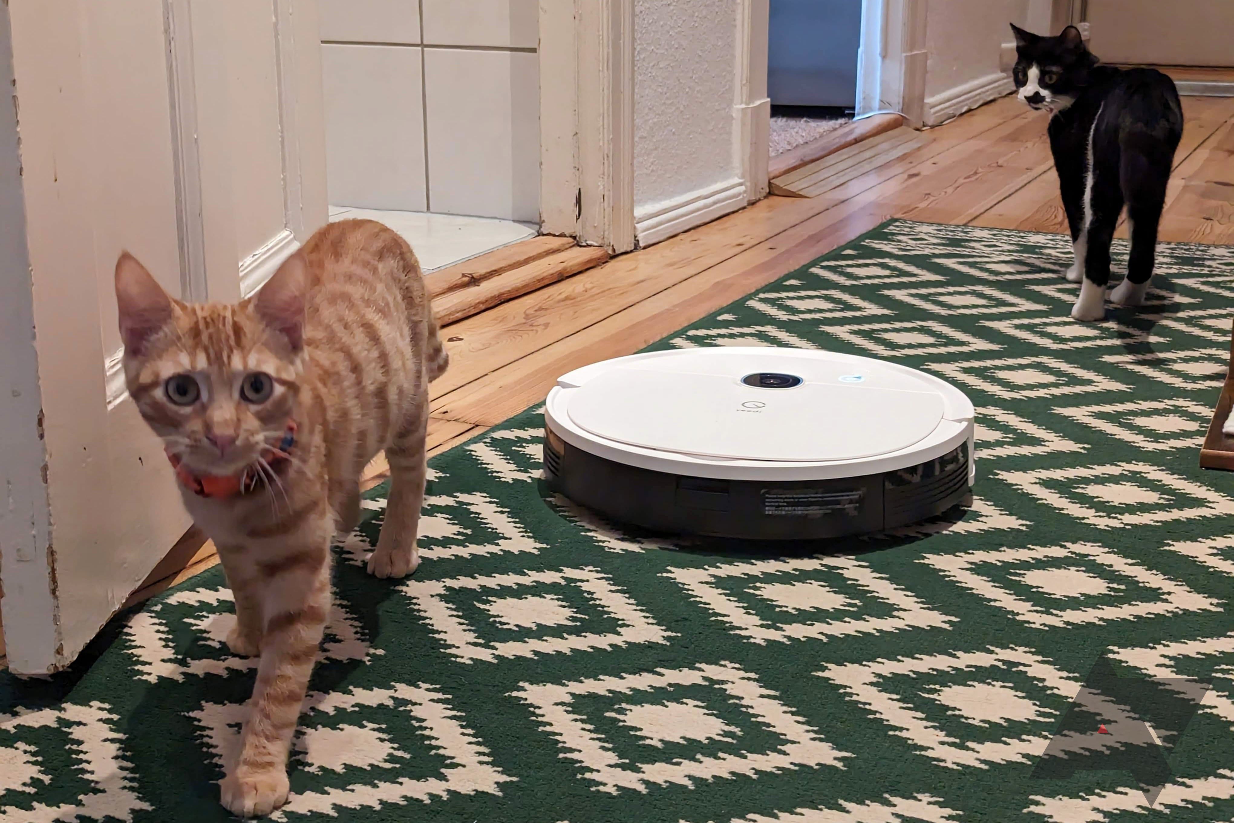 No kitten around — the Yeedi Vac 2 Pro's Black Friday deal is back to its  lowest price ever