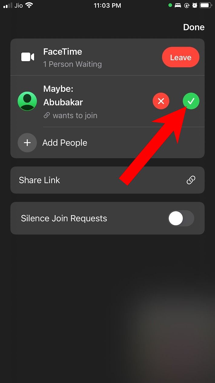 red solid arrow pointing to green check button next to FaceTime participant on an iPhone
