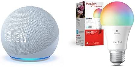 echo-dot-bulb puzzle