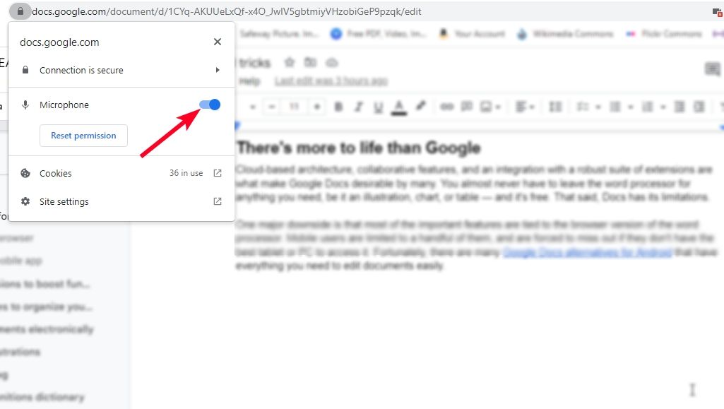 Microphone permission in Google Docs site information