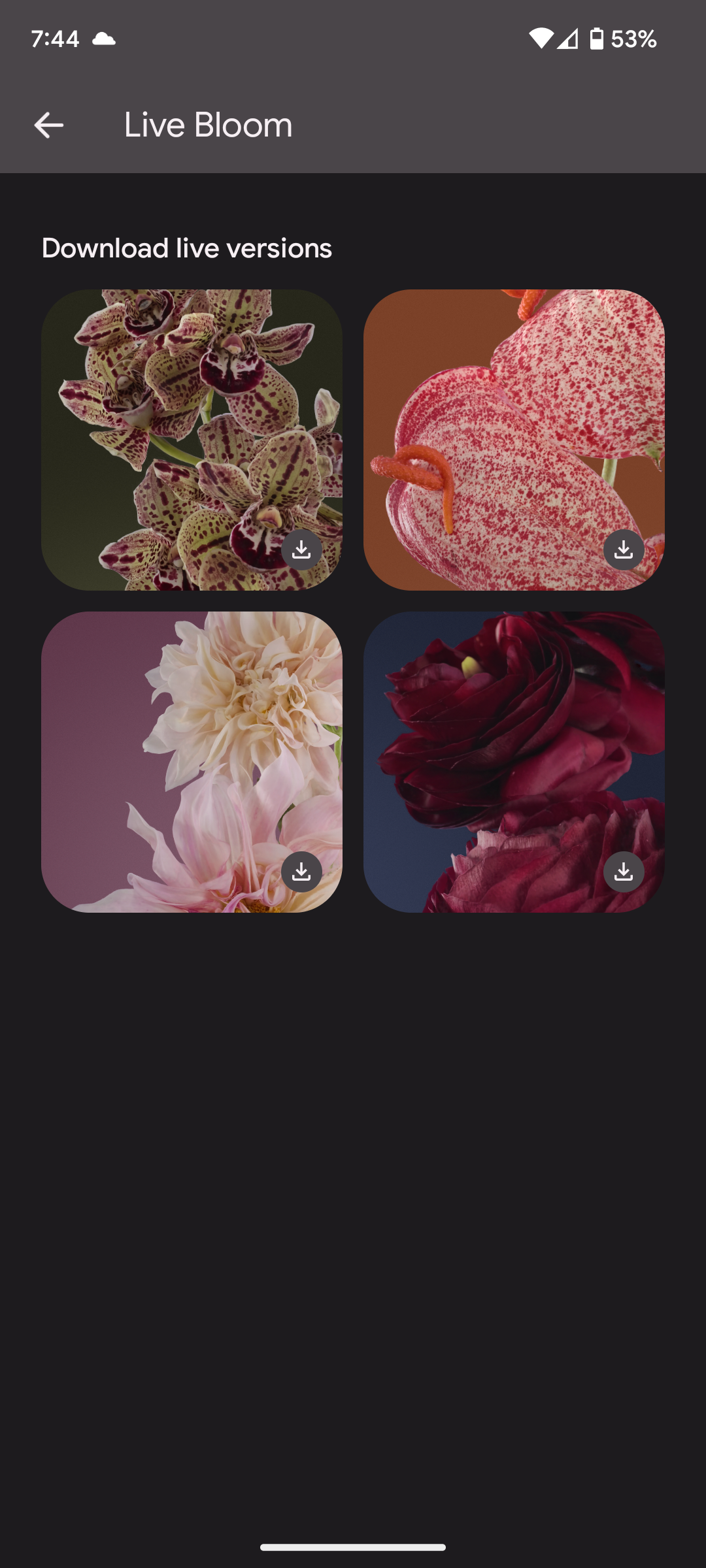 Google's Pixel live wallpapers are blossoming with four new additions