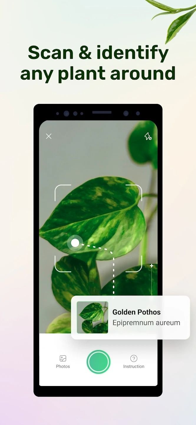 Plant Parent Plant Care Guide Best New Apps of 2022 (1)