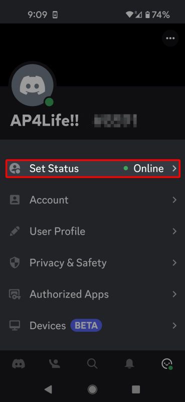 Discord mobile user profile menu highlighting the Set Status menu option