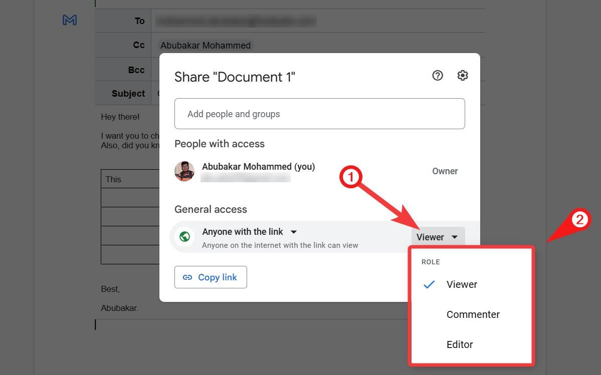 Screenshot highlighting the options to change the access type for a person with whom a file is shared, including 'Viewer', 'Editor', and 'Commenter' roles.