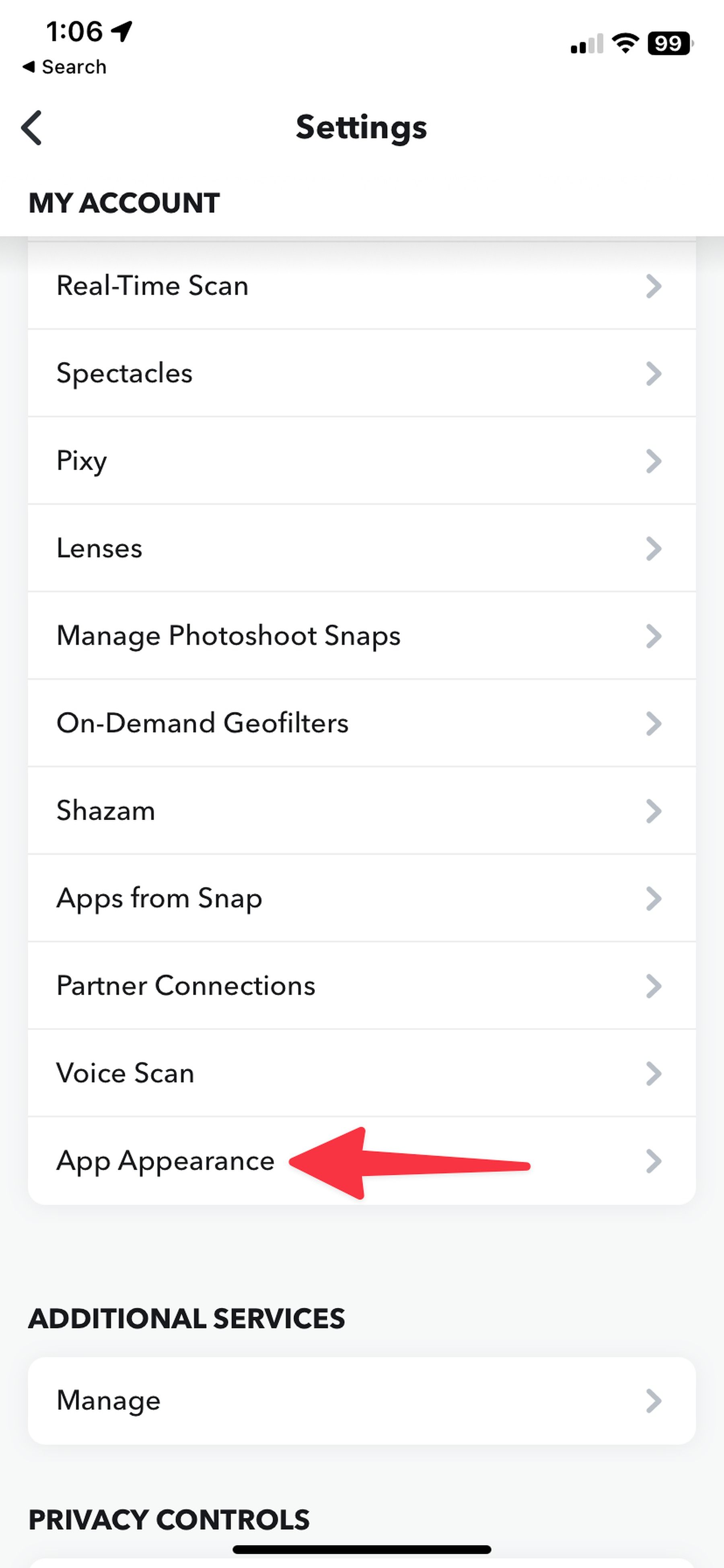 Screenshot highlighting App appearance option for Snapchat on iPhone