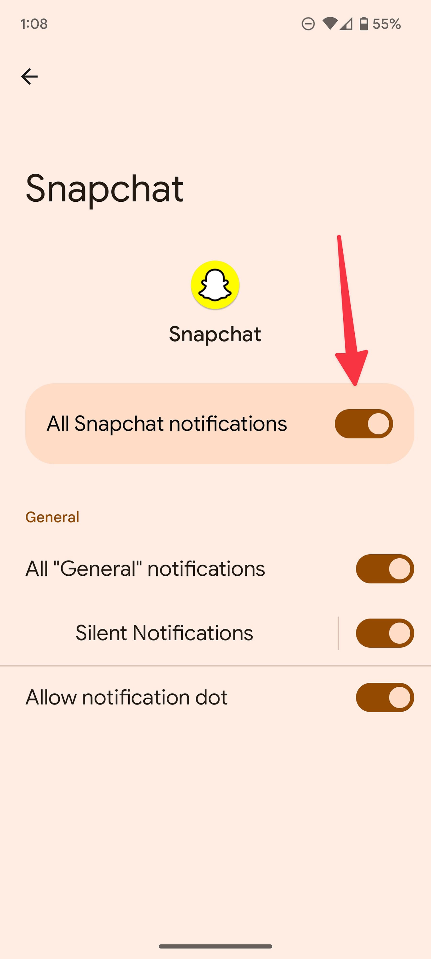 Screenshot of All Snapchat notifications toggled on