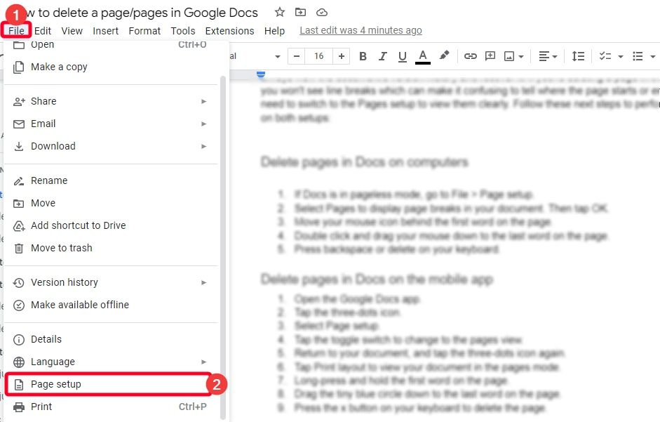 Selecting Net page setup option from File menu in Google Doctors
