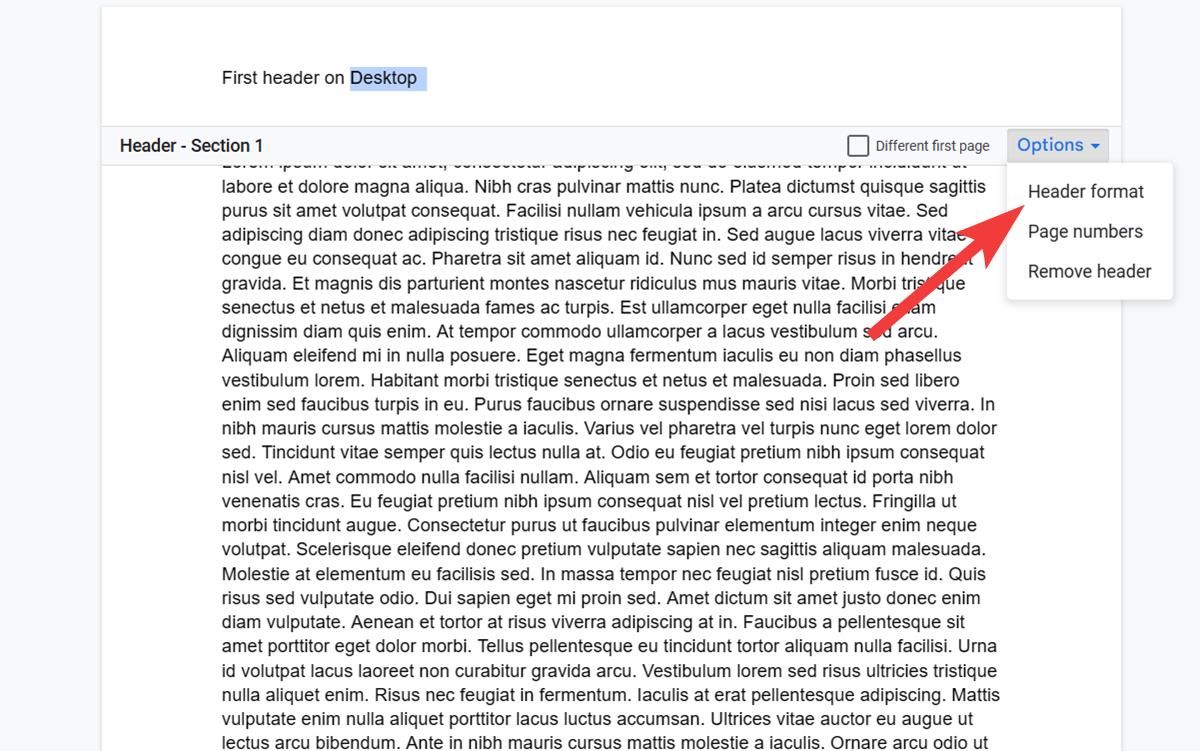 Header-format-in-options-google-docs