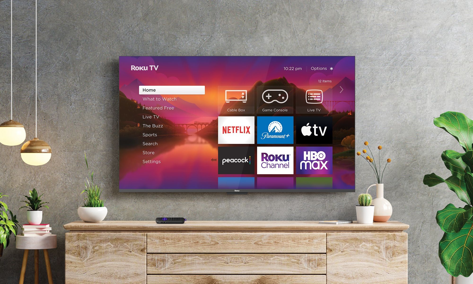 A Roku TV mounted on a wall in a modern looking living room with plants around