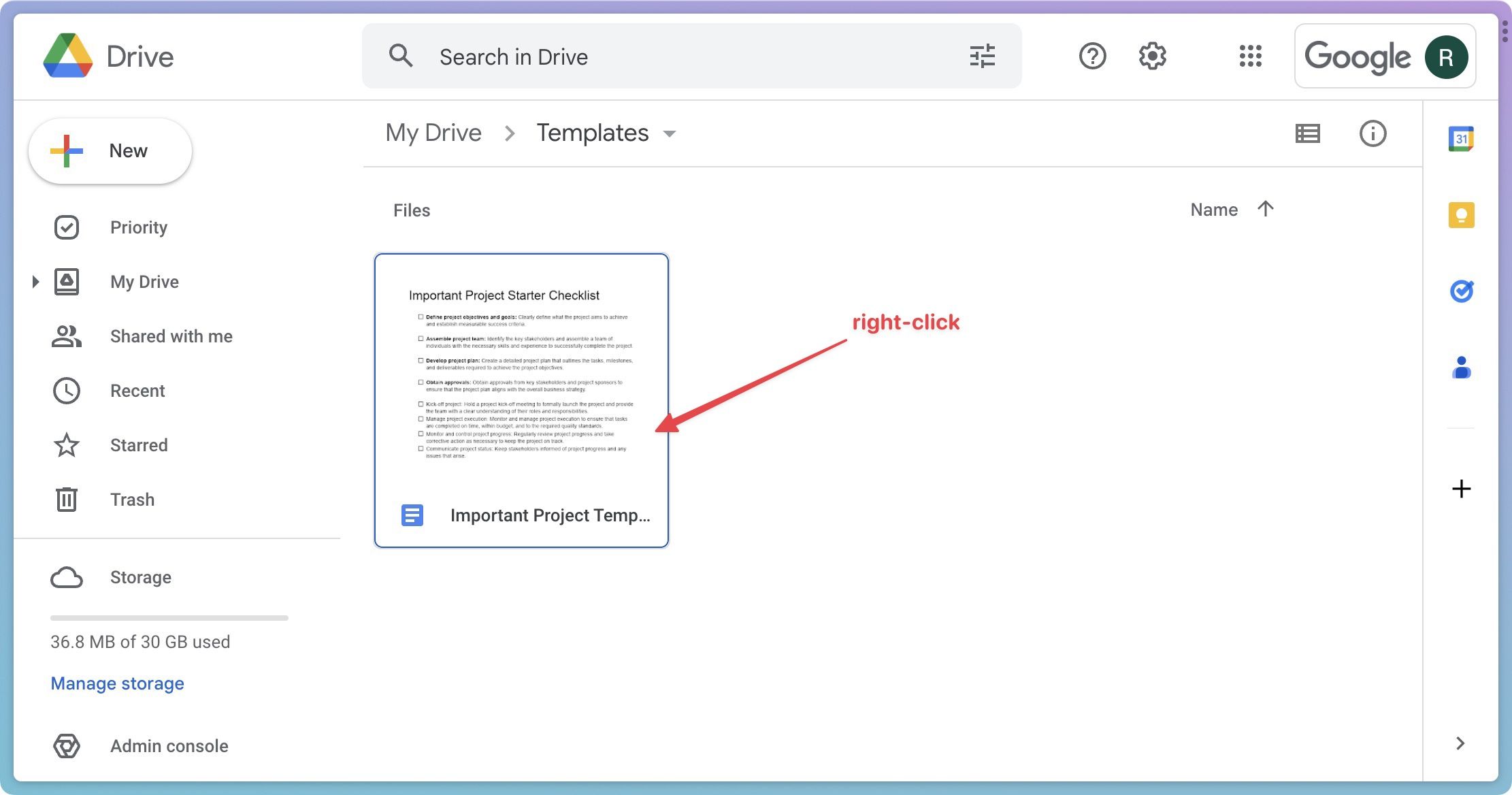 Google Drive screenshot showing a template document