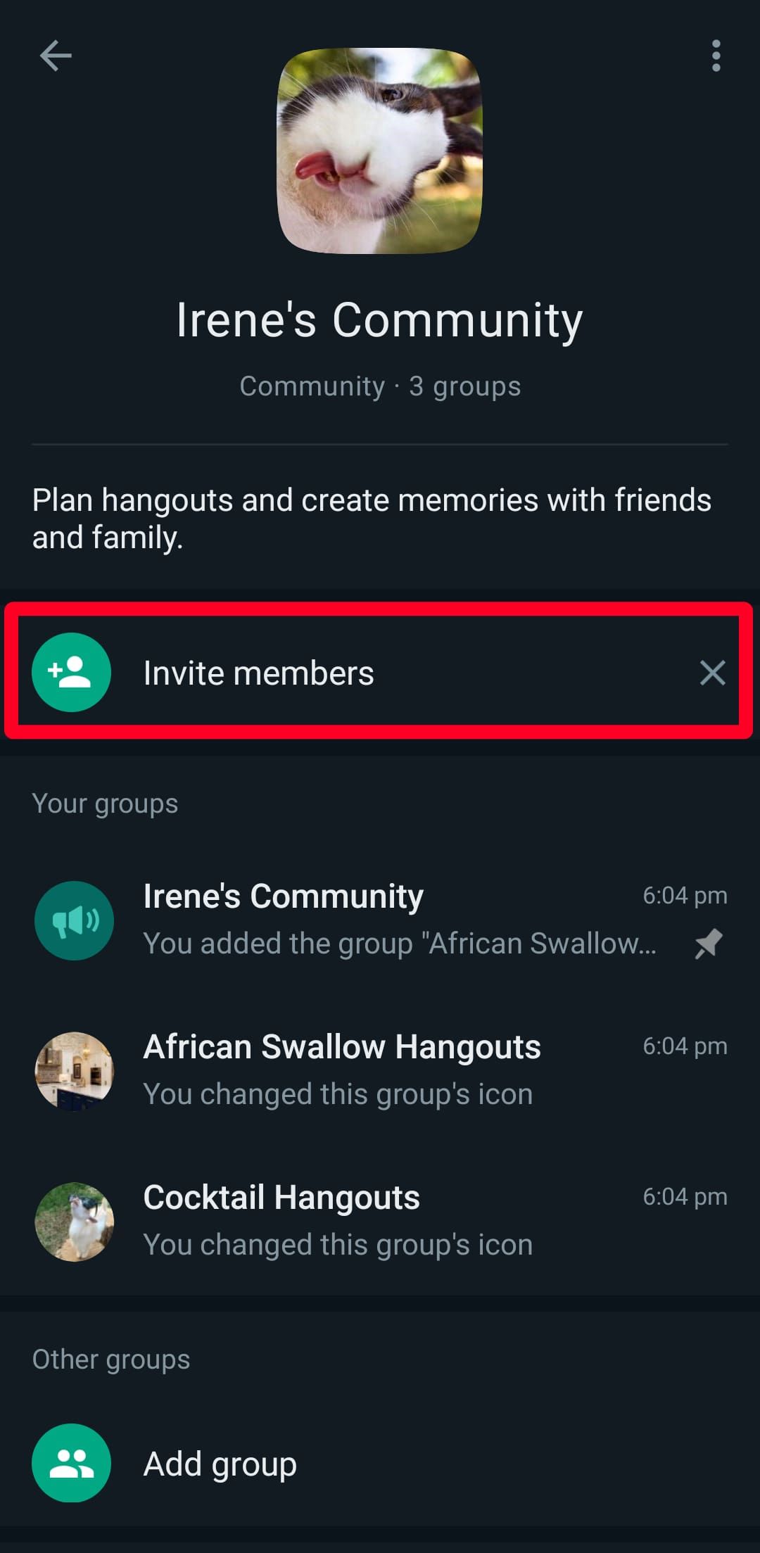 invite members to WhatsApp community