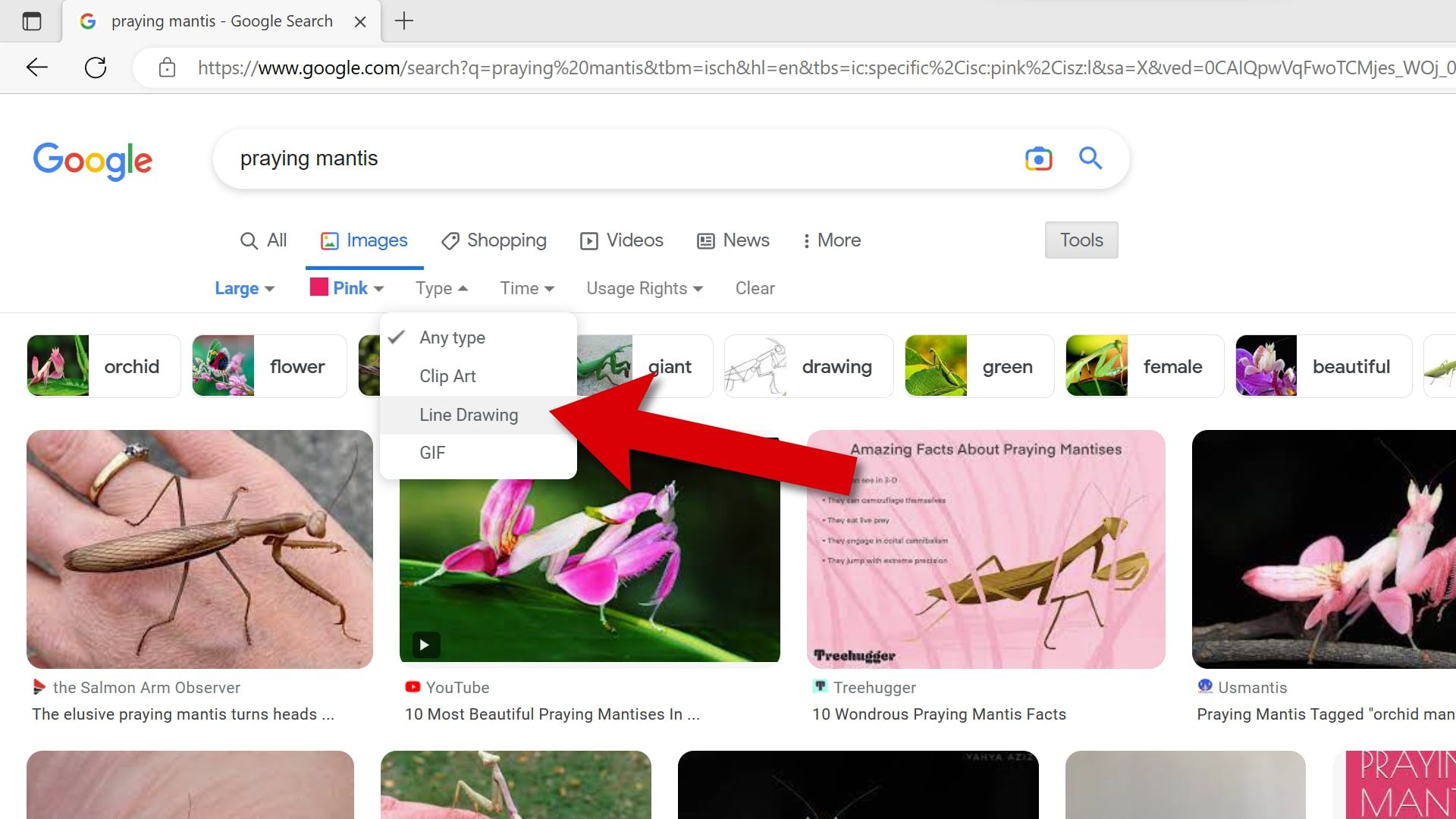 Gambar Google memiliki filter jenis gambar yang berguna.