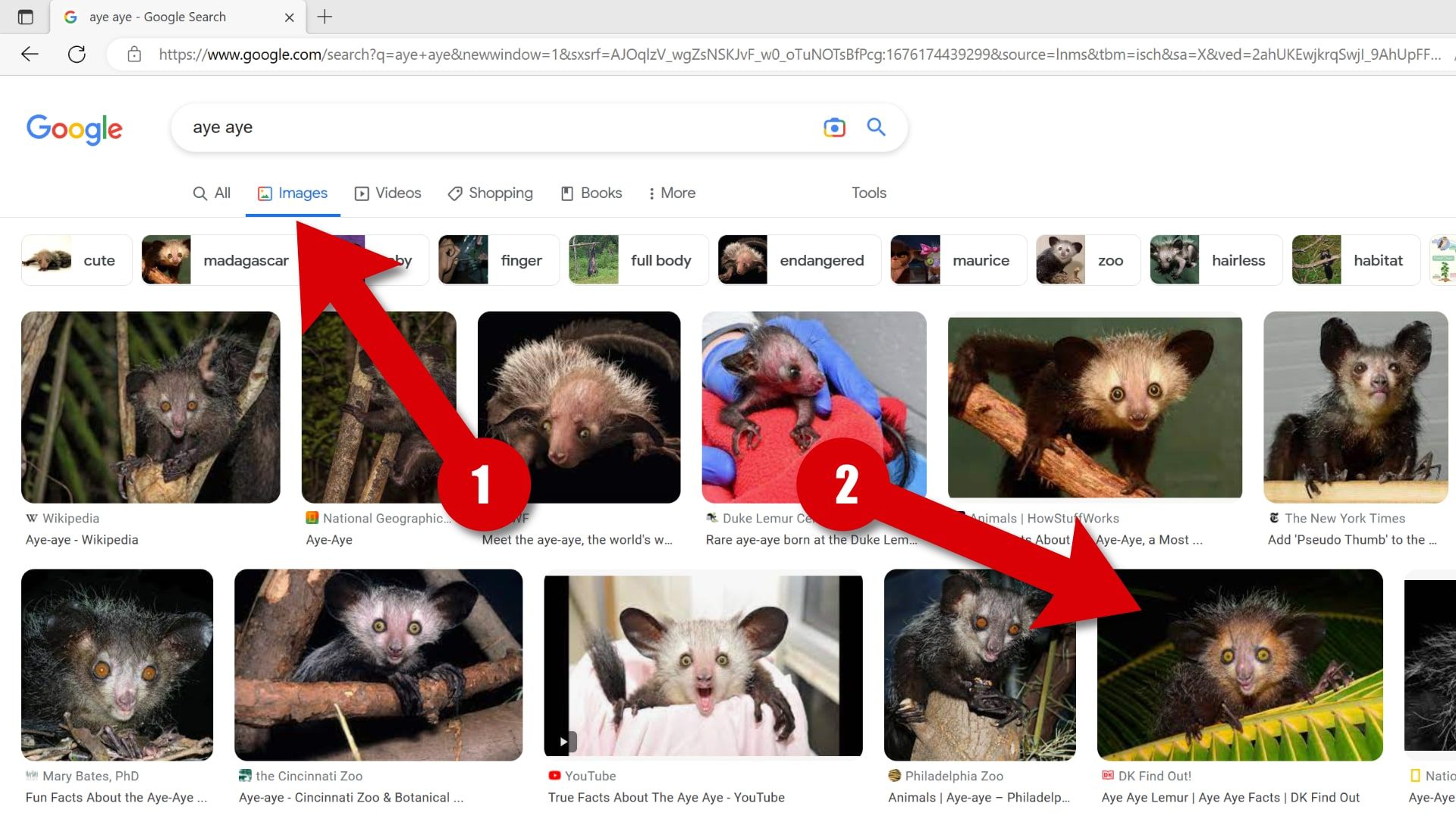 Laman hasil penelusuran Google Gambar muncul di browser desktop dengan panah yang menyorot kontrol.