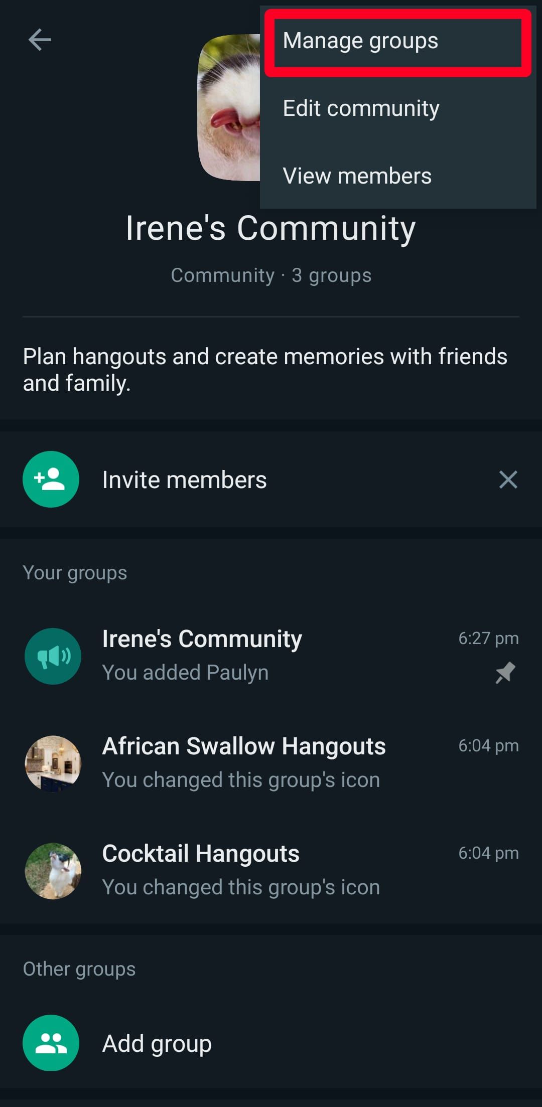 Manage groups option in WhatsApp community on Android