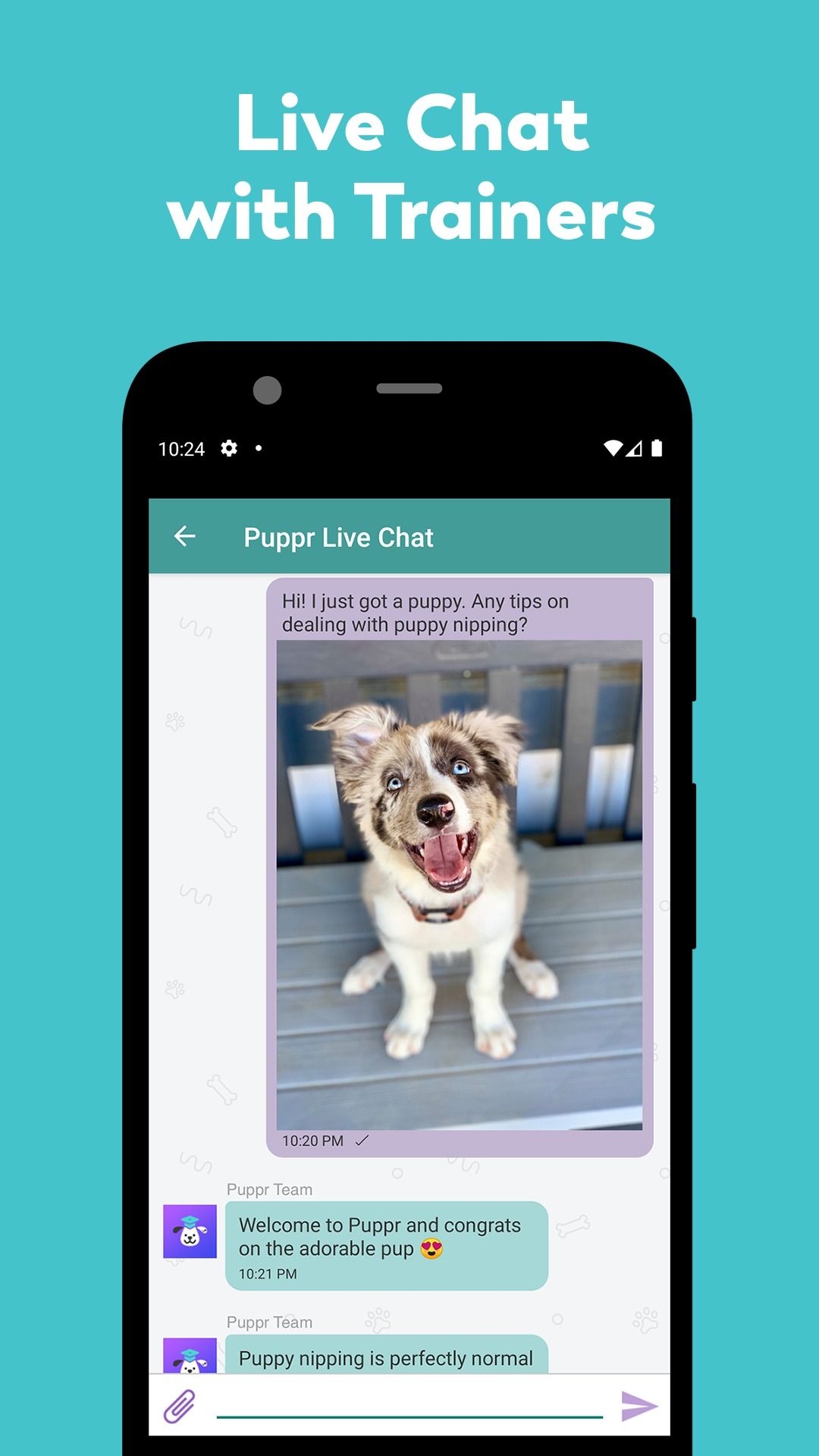 8 best pet apps on Android for every owner