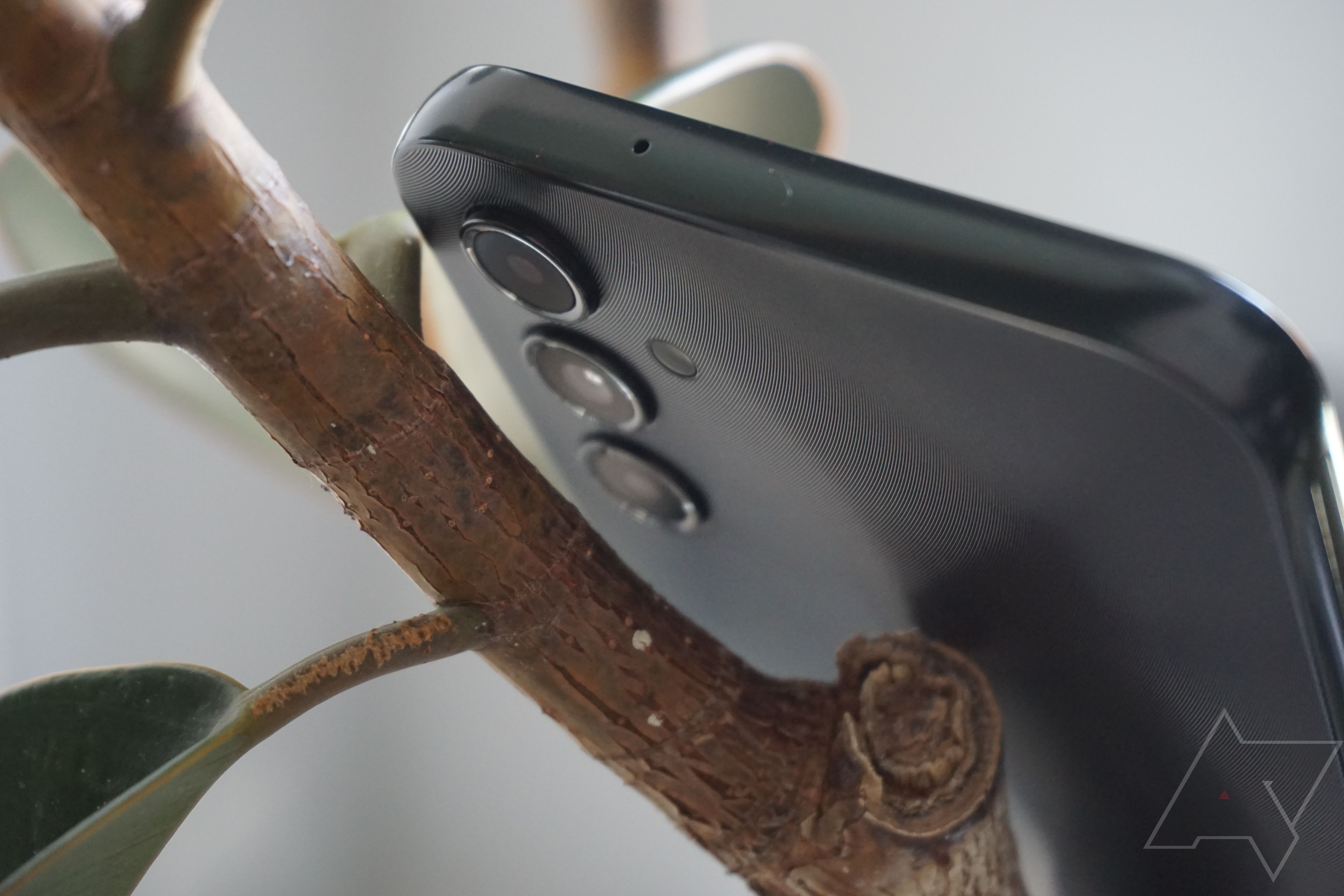 Foto bagian belakang dan atas Samsung Galaxy A14 dikelilingi dedaunan