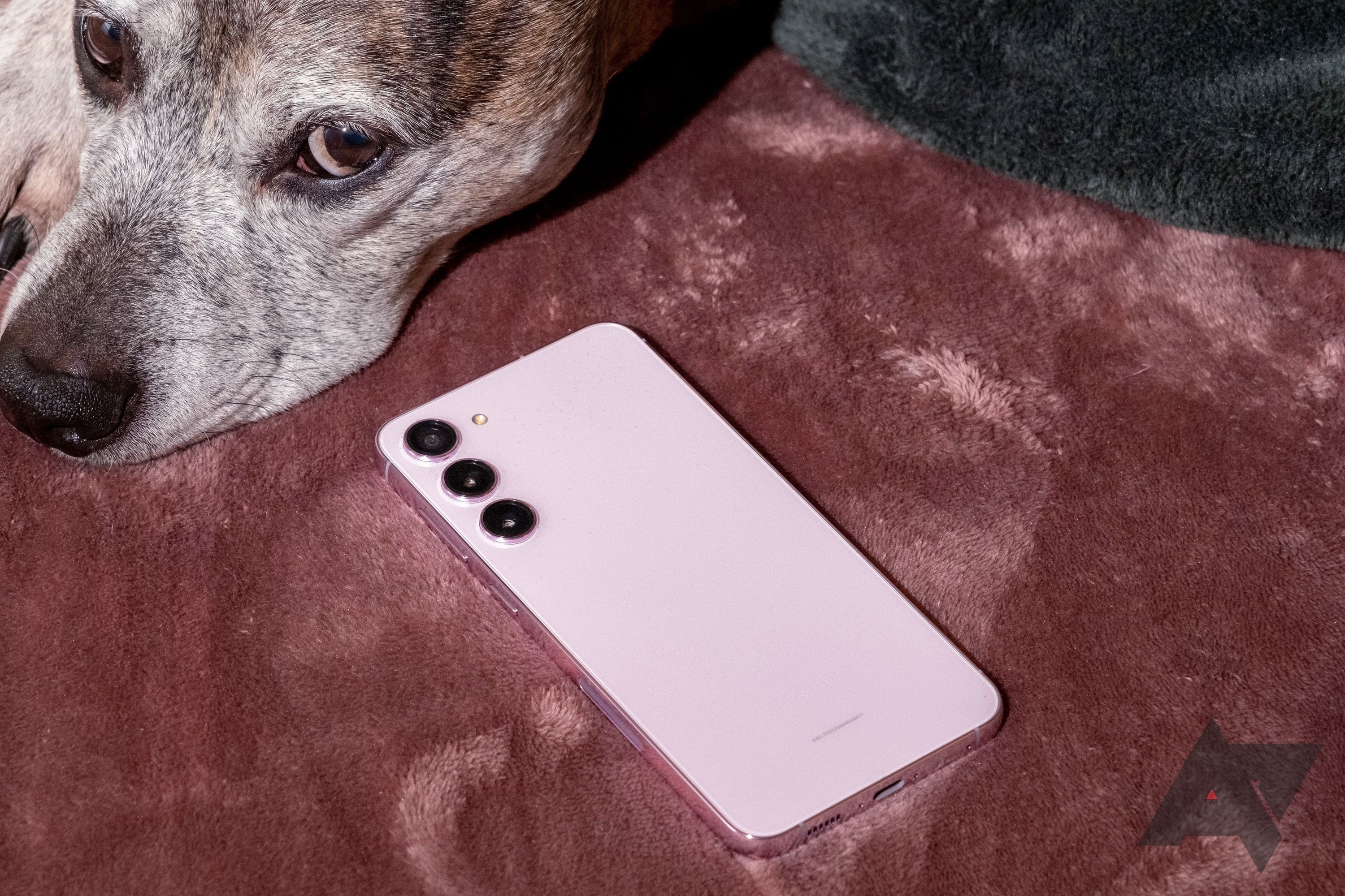 8 best pet apps on Android for every owner