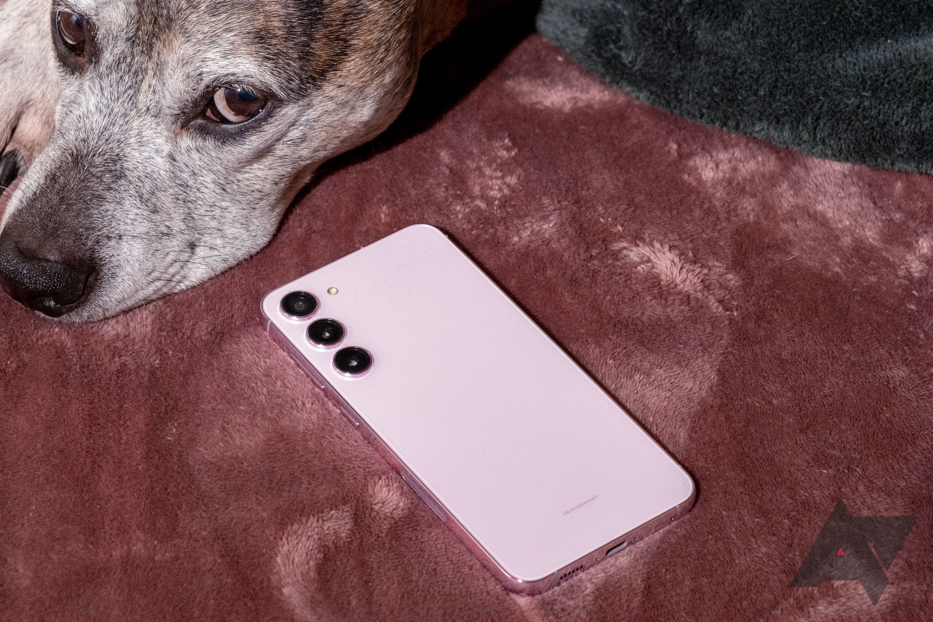 samsung-galaxy-s23-plus-dog