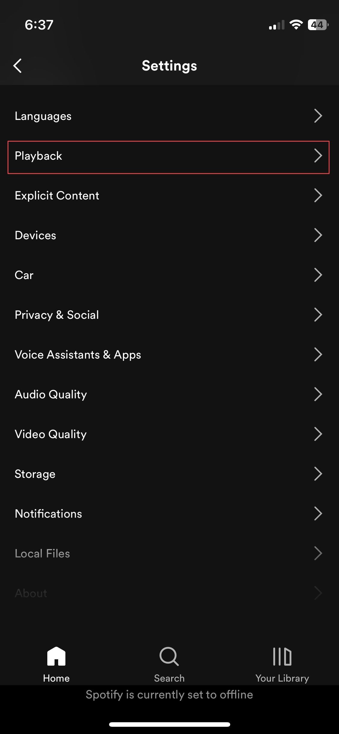 spotify settings page for iPhone app showing playback