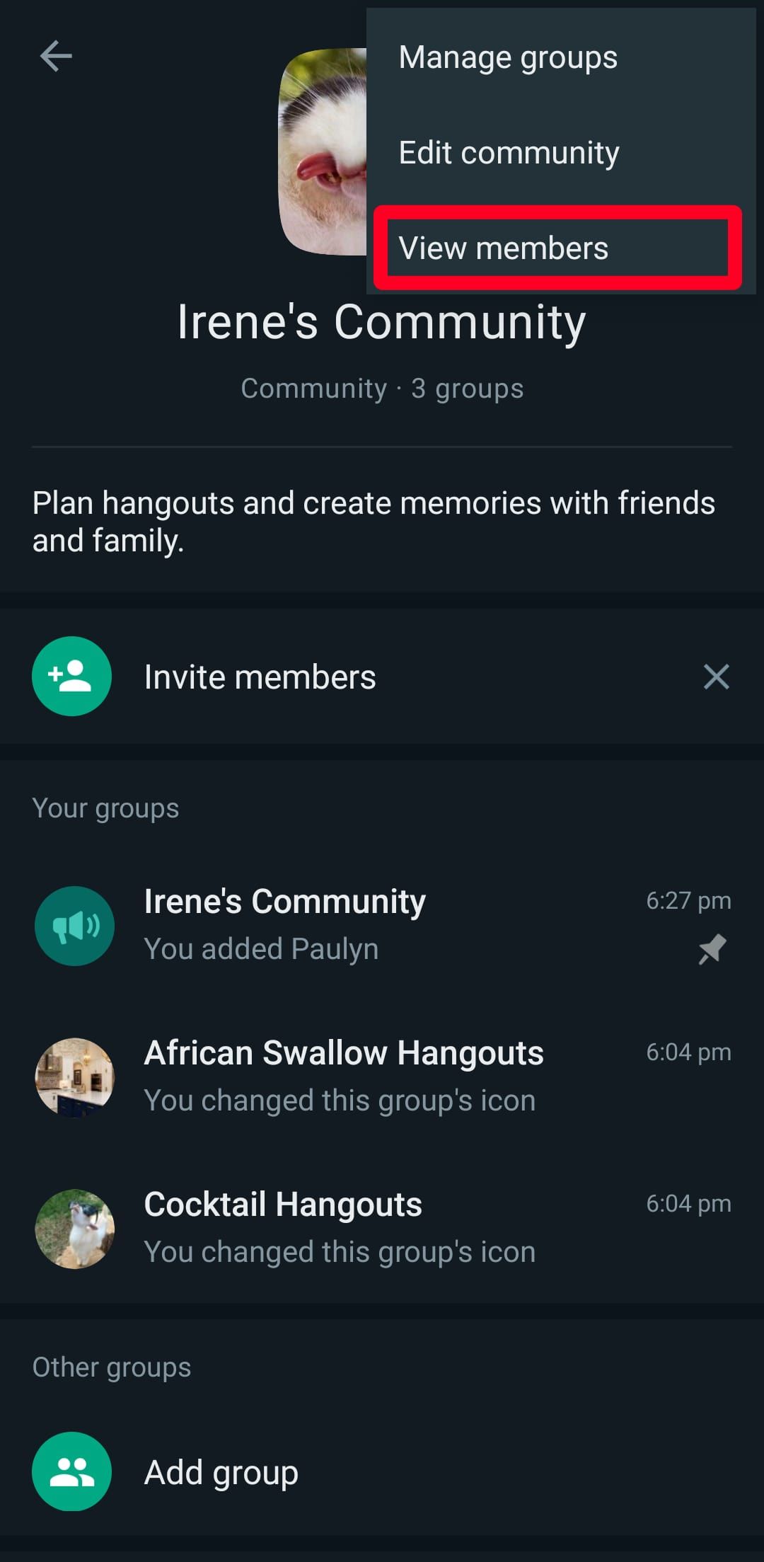 view members for WhatsApp community
